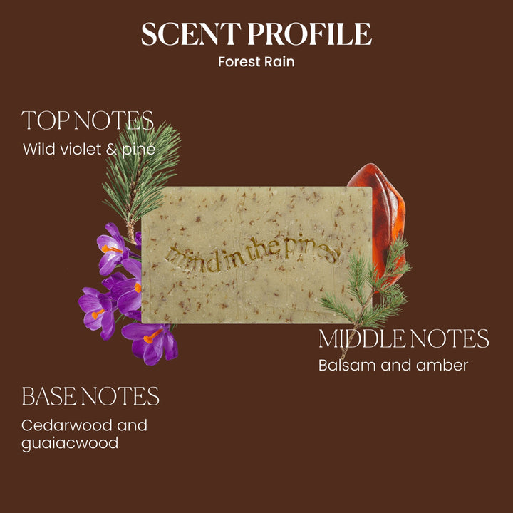 Jackfir Bushwhacker Bar Soap scent profile infographic with pine sprigs, violet flowers, and amber stone as props